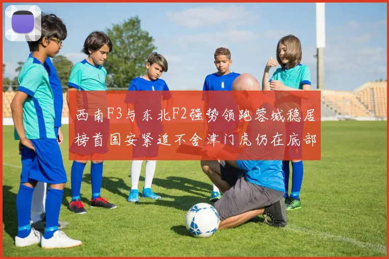 西南F3与东北F2强势领跑蓉城稳居榜首国安紧追不舍津门虎仍在底部挣扎