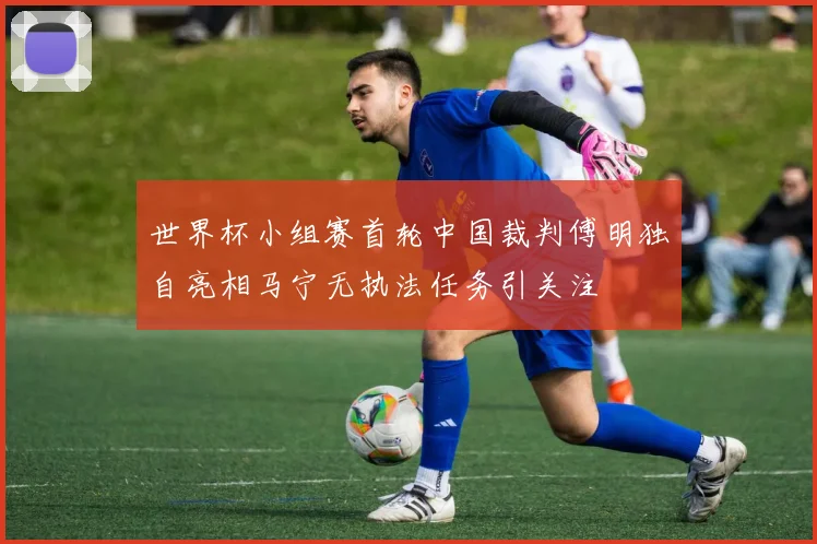 世界杯小组赛首轮中国裁判傅明独自亮相马宁无执法任务引关注