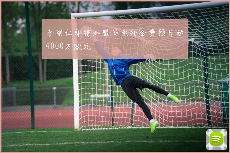 李刚仁即将加盟马竞转会费预计达4000万欧元